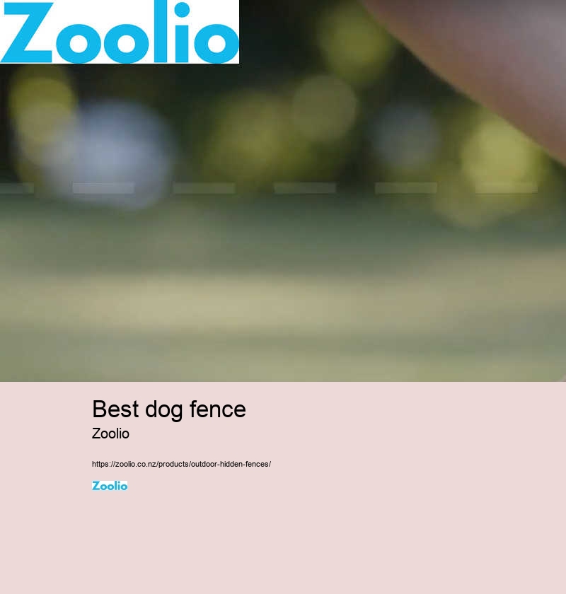 boundary fence for dogs