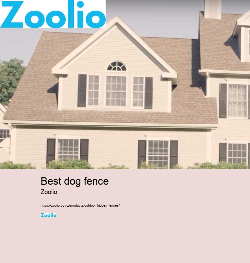 best dog fence