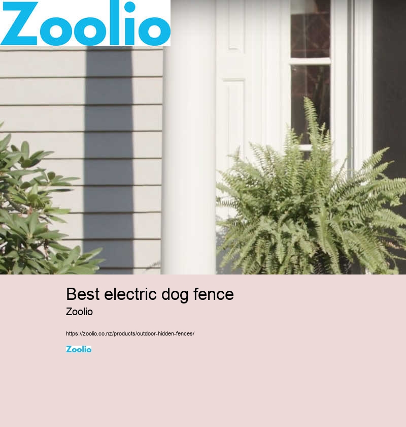 dog fence electric collar