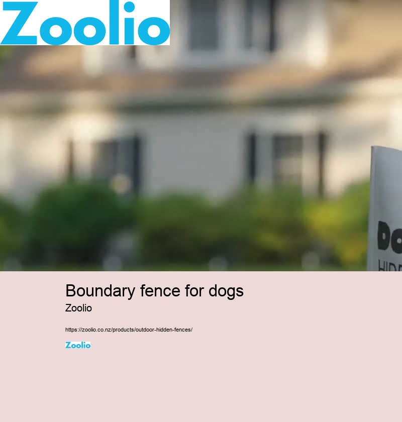 dog fencing nz