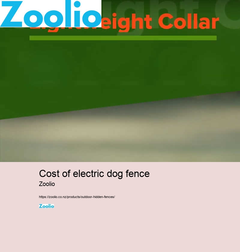 best electric dog fence