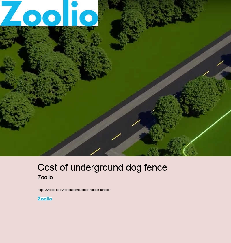 fenceless dog fence