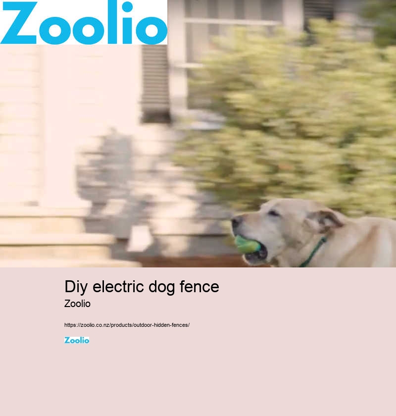 dog fence electric