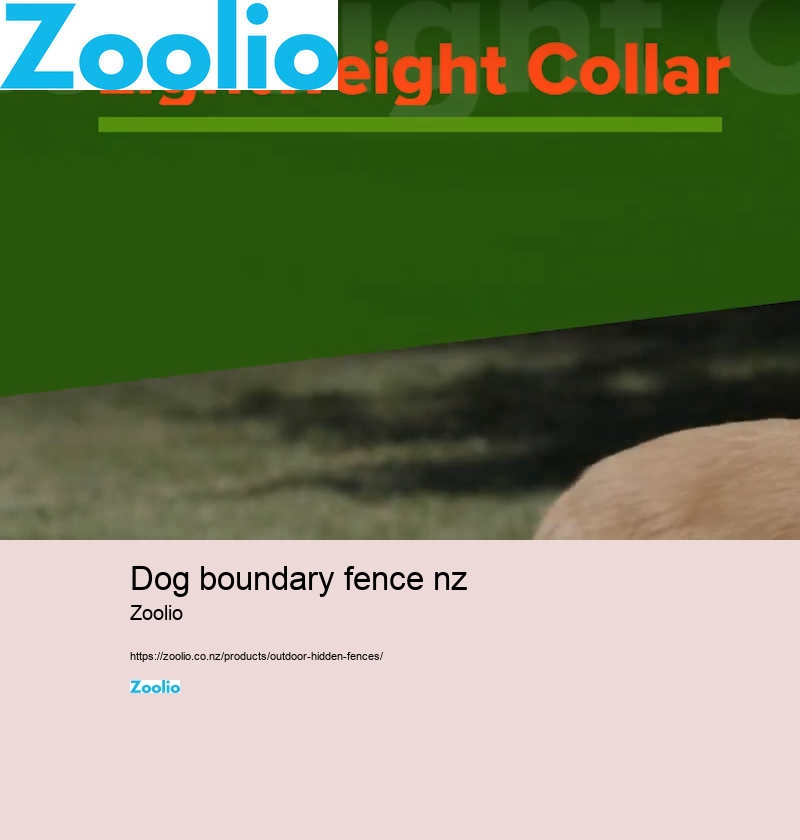 dog fence electric collar