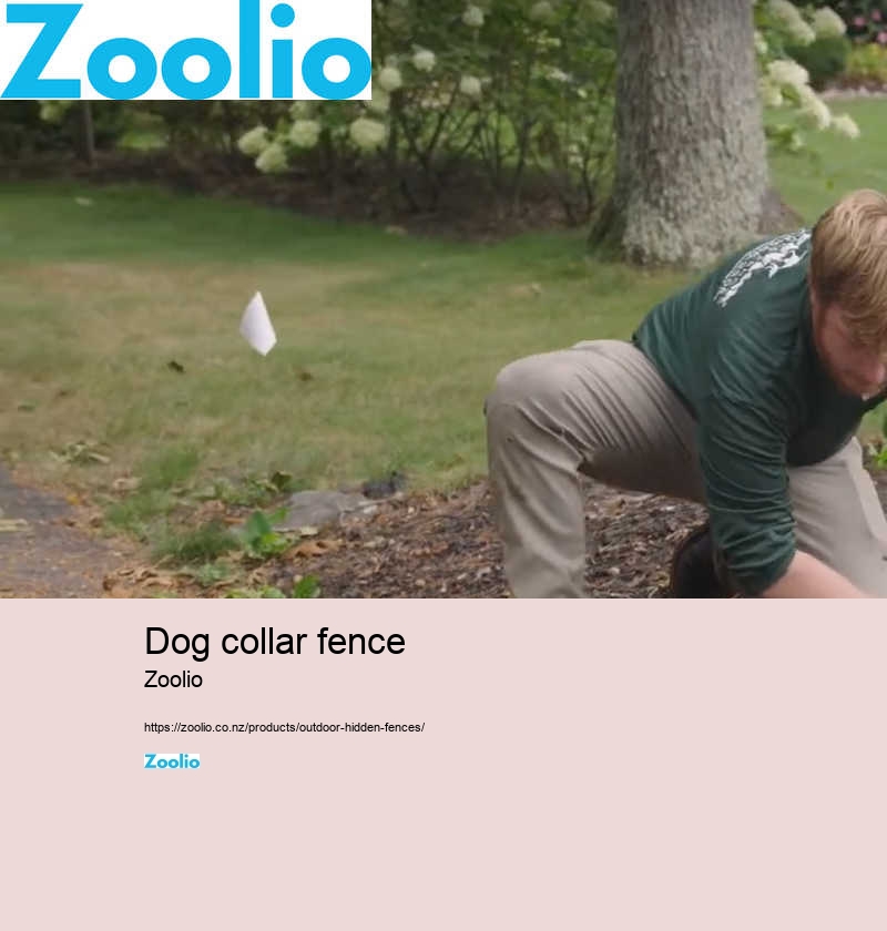 dog fence collar wireless