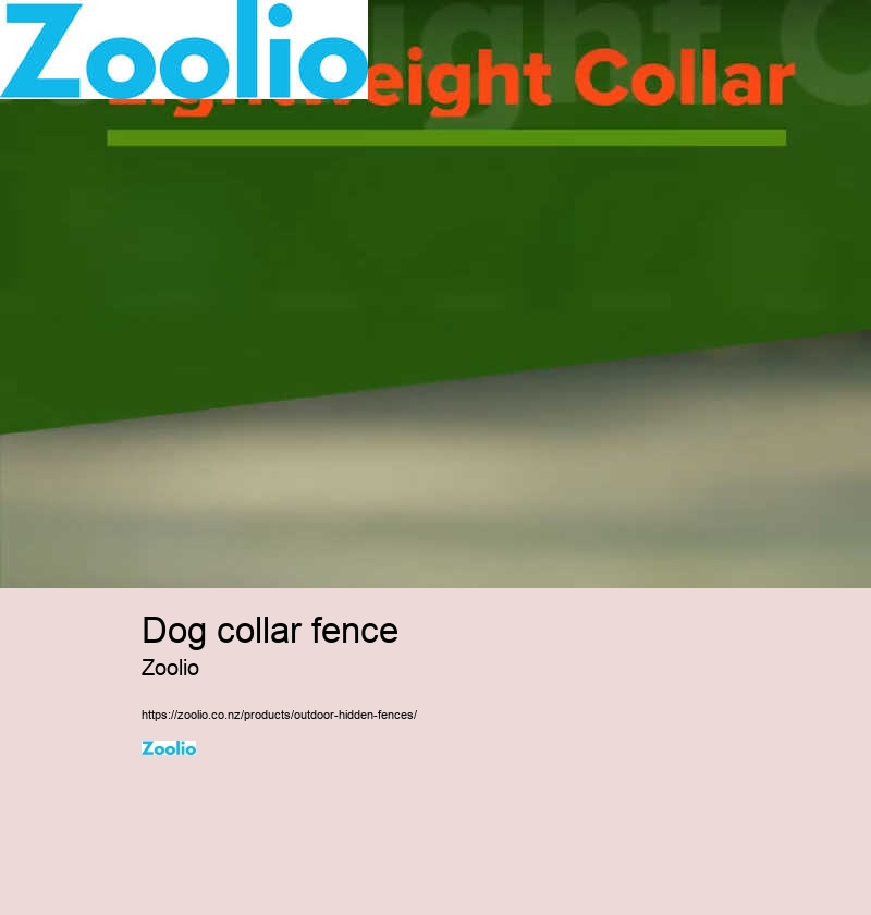 dog collar fence