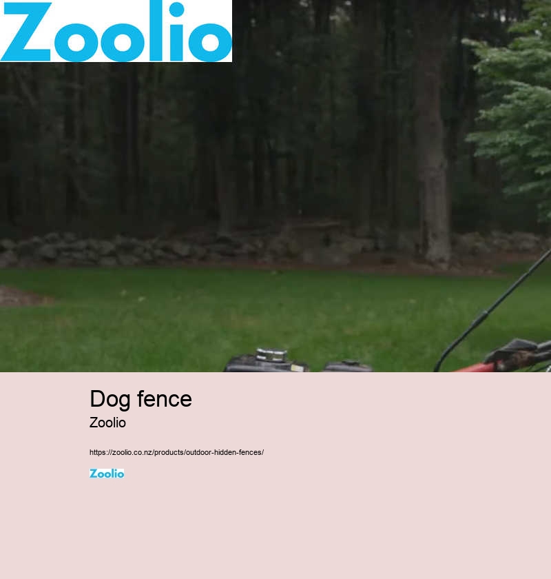 electric dog fence