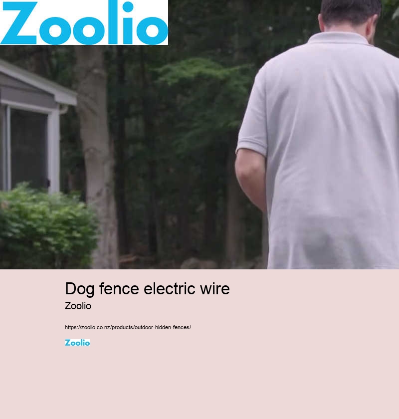 electric dog fence