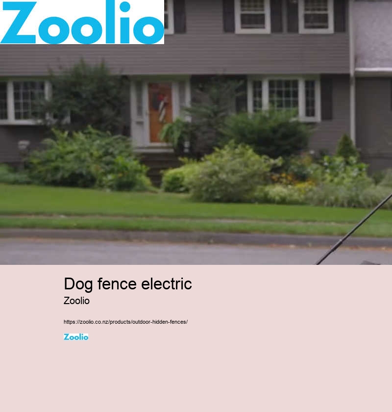 dog fence electric