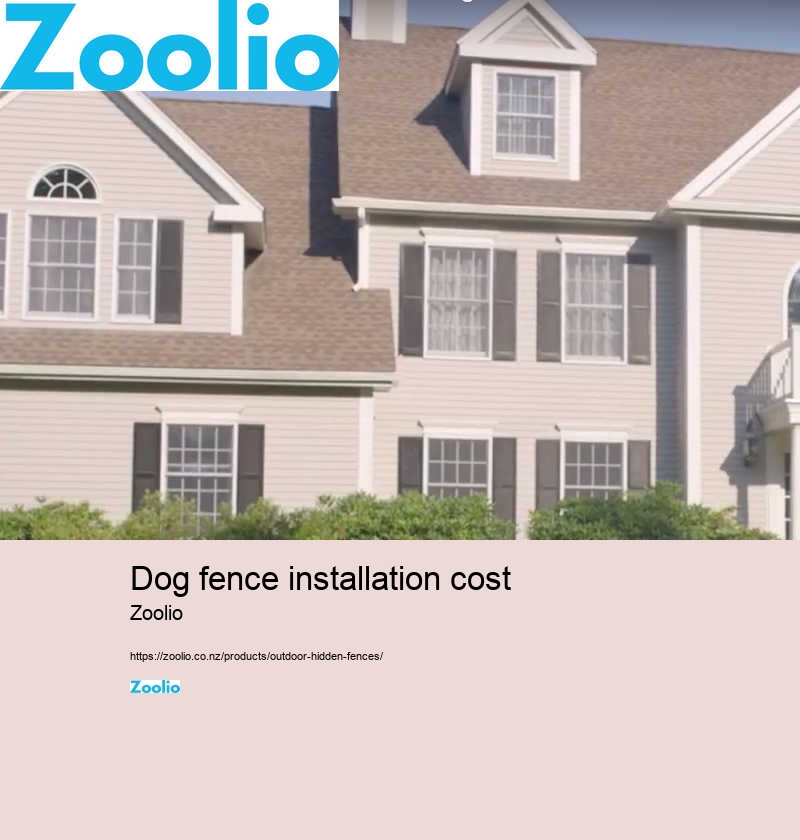 dog fence installation cost