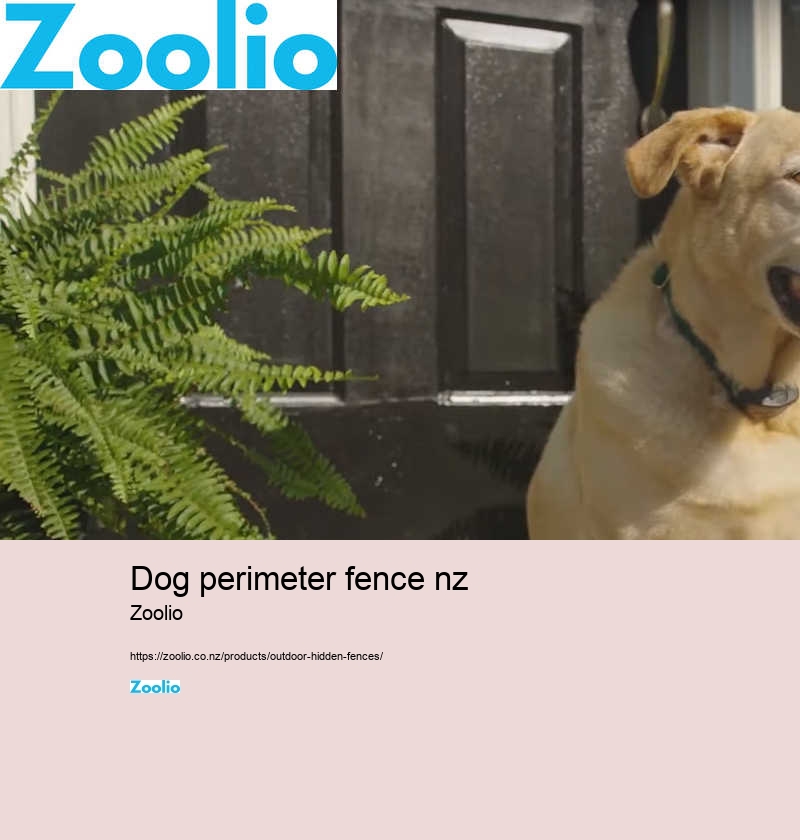 Dog fence