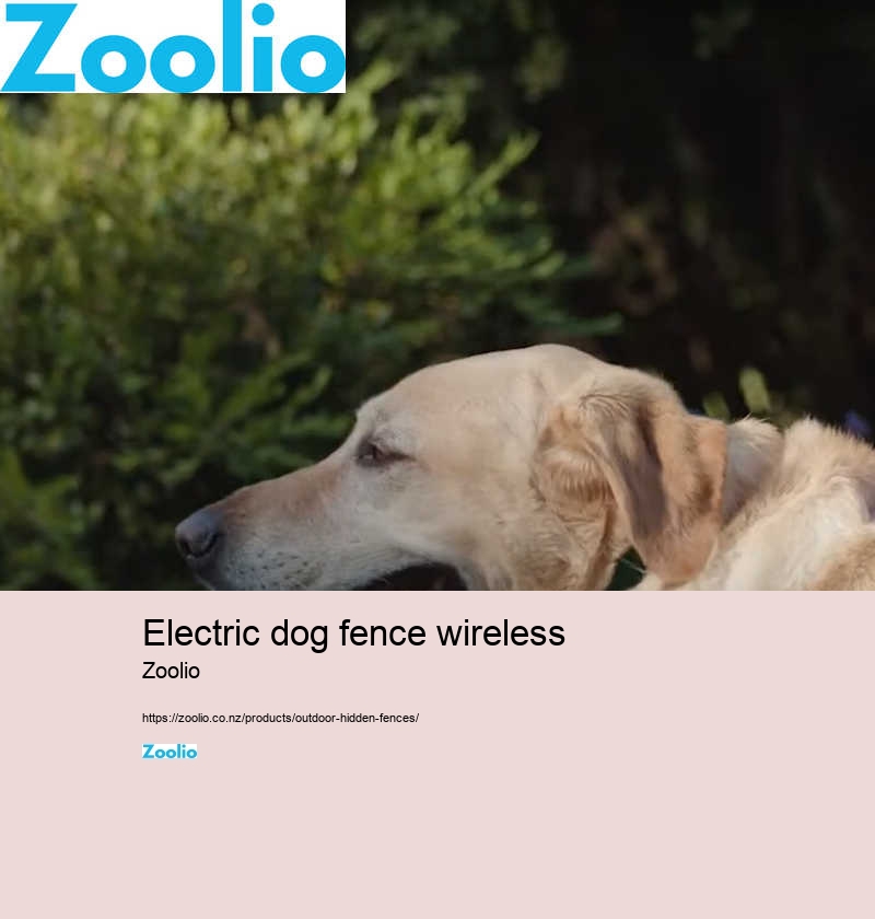 electric dog fence wireless