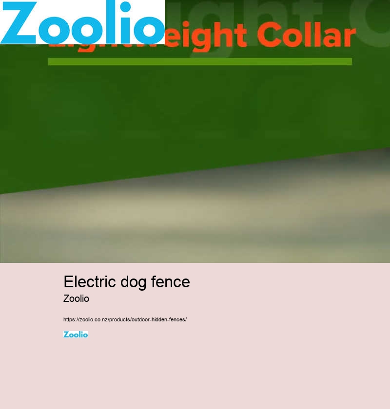 electric dog fence