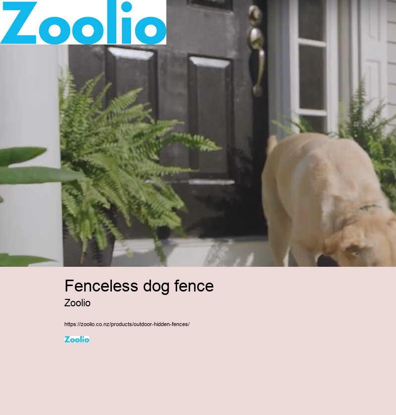 portable dog fence