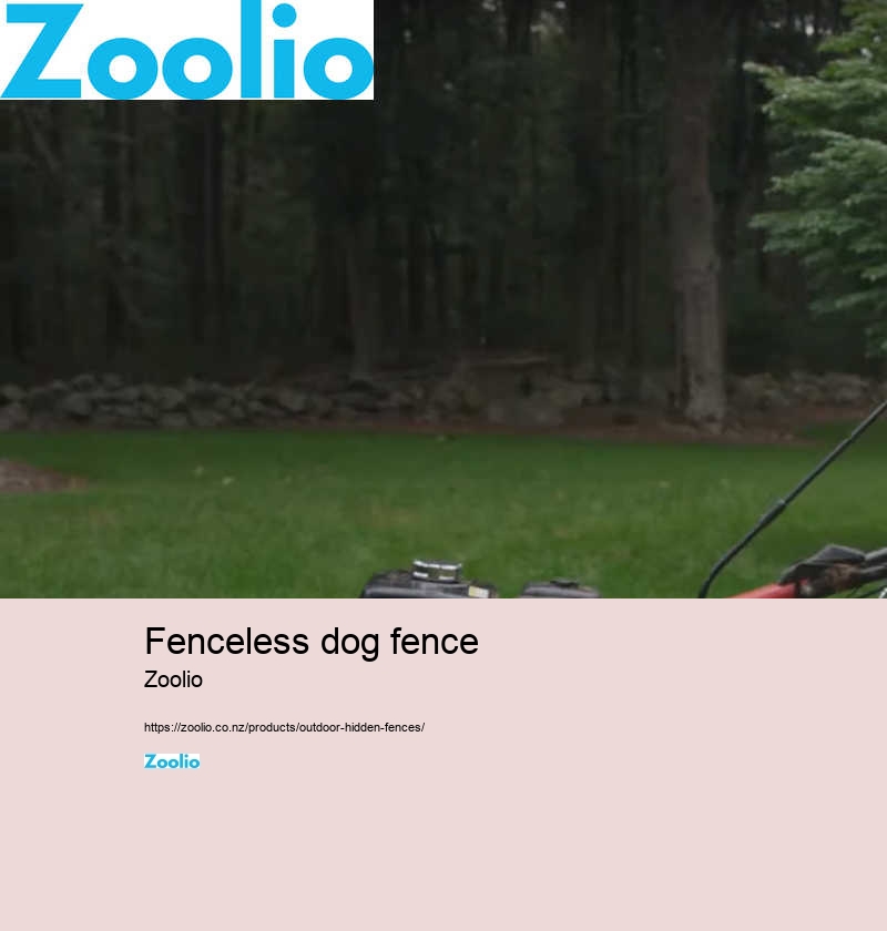 electric dog fence cost