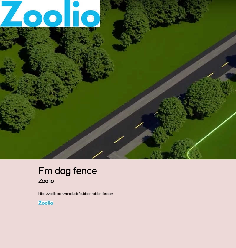 fm dog fence