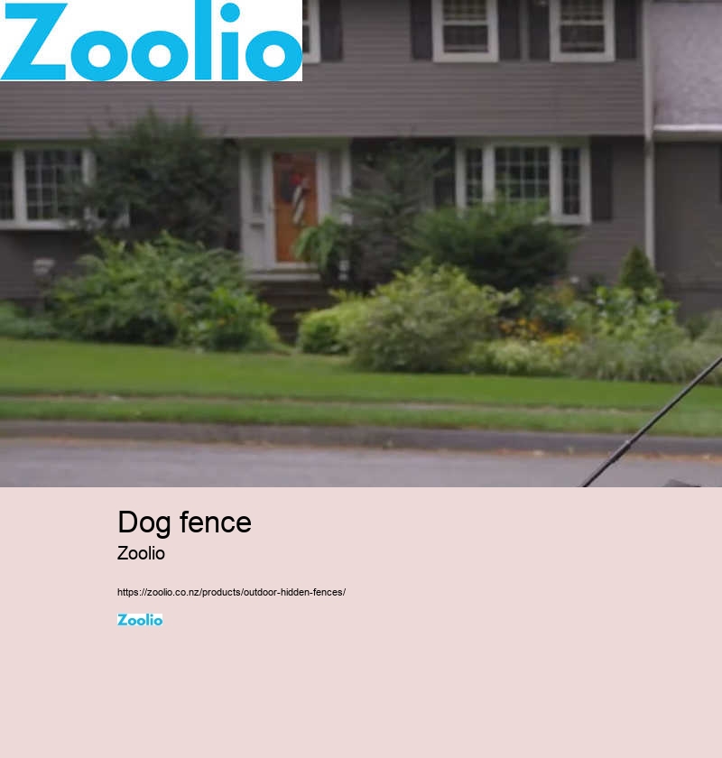 dog fence electric wireless