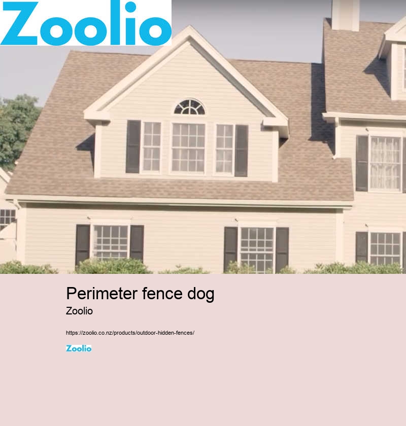 dog fence for indoors