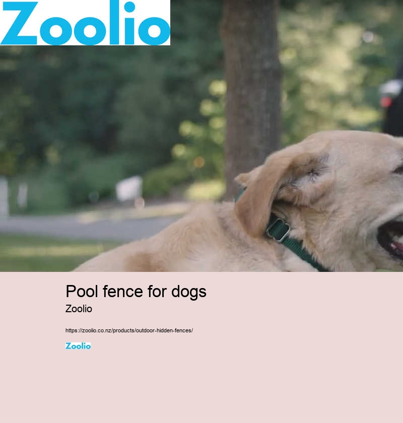 pool fence for dogs