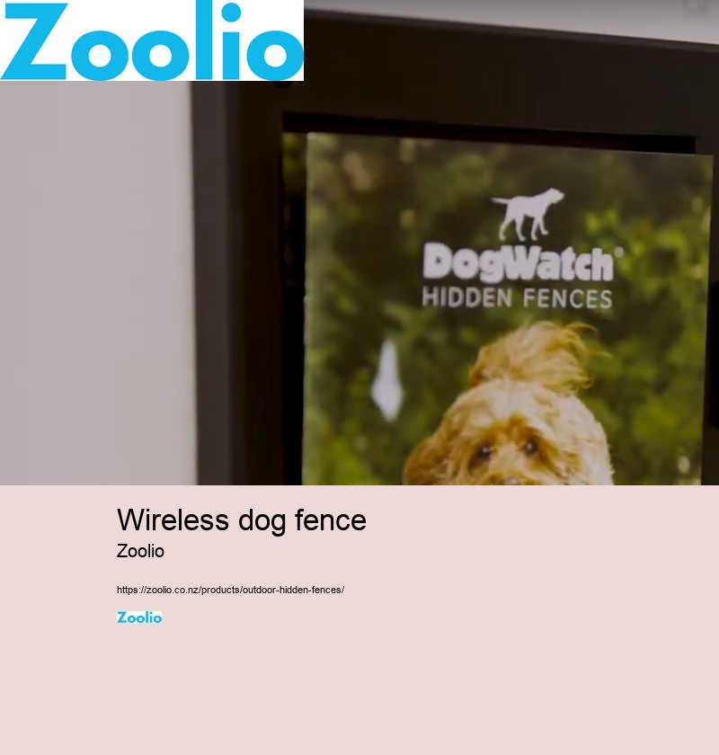 wireless dog fence