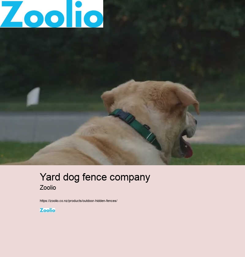 yard dog fence company