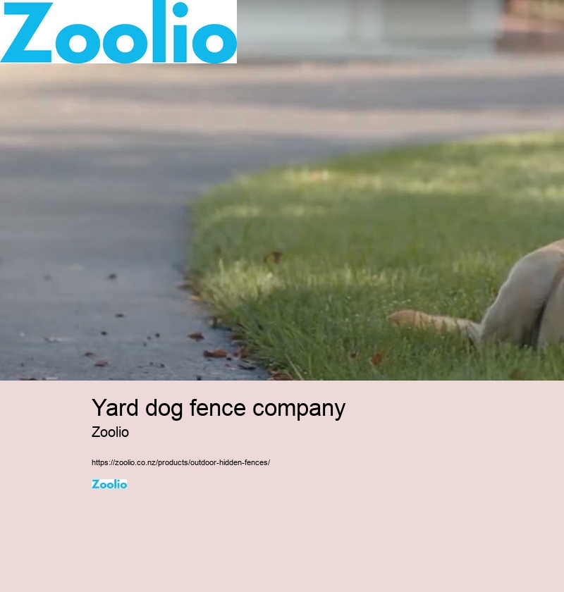 dog fence cost